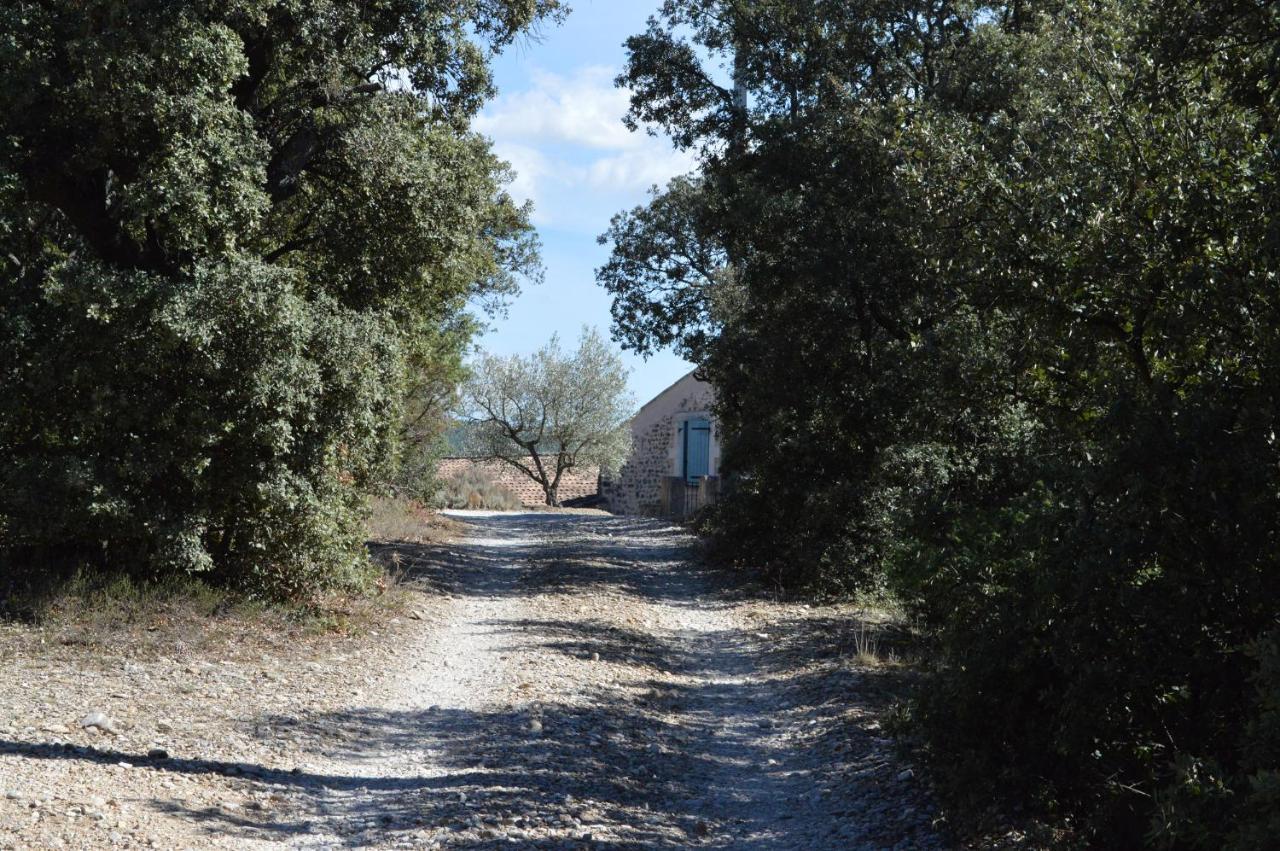 Ferme De Palumiane - Chambres Climatisees Visan Exterior foto