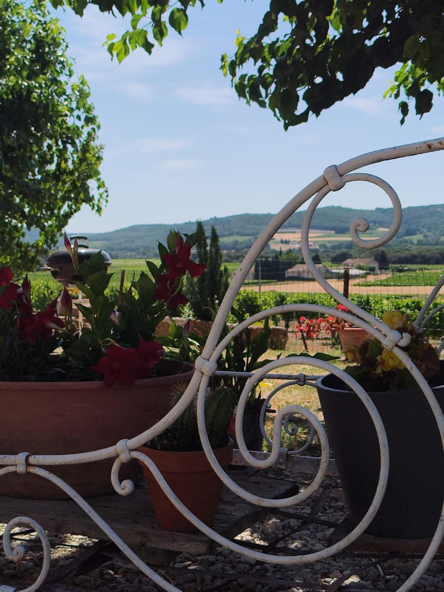 Ferme De Palumiane - Chambres Climatisees Visan Exterior foto
